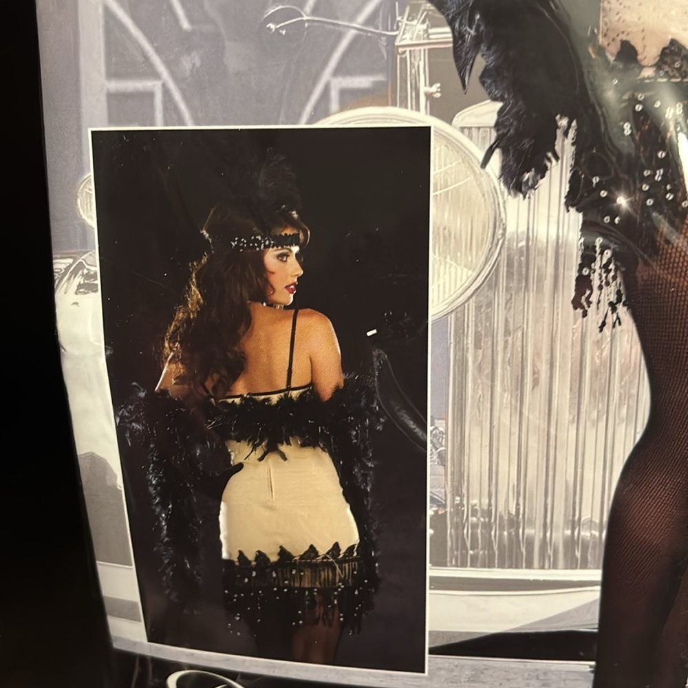 Jazzy Jezebell costume *dress only* - Picture 3 of 4